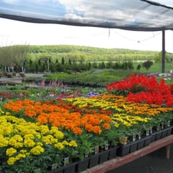 Oak Tree Nursery