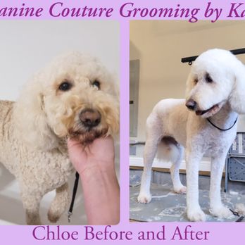 Canine Couture Mobile Grooming - Pet Groomers Near Me Canine Couture Mobile Grooming - Pet Groomers Near Me