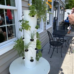 Club 86 - Outside seating