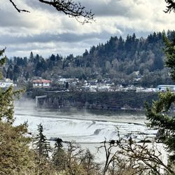 Willamette Falls Scenic Overlook - Willamette Falls Scenic Overlook