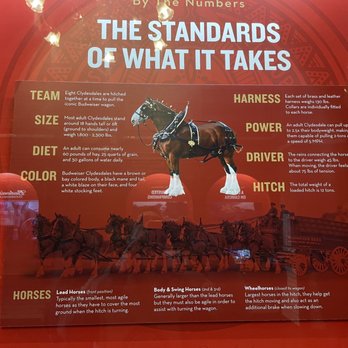 Budweiser Brewery Experience - Beer Tours Near Me - Saint Louis, Missouri