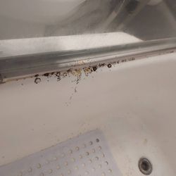 Safe Chem Pest