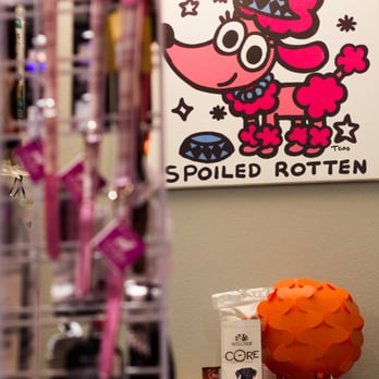 City Pets - Pet Groomers Near Me - Chicago, Illinois