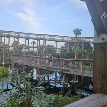 Everglades Elevated Boardwalk - Landmarks & Historical Buildings Near Me - Weston, Florida Everglades Elevated Boardwalk - Landmarks & Historical Buildings Near Me - Weston, Florida