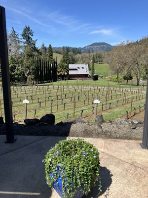 Reustle-Prayer Rock Vineyards by null
