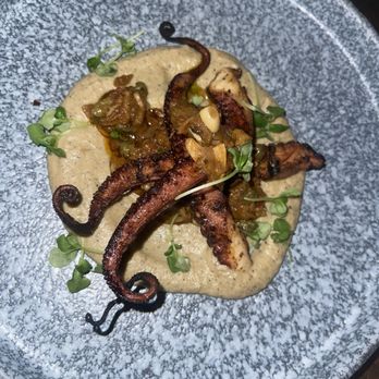 Haven Craft Kitchen + Bar - Spanish Octopus - not at all a Spaniard recipe. But nice try! Wish the portion of the octopus was bigger - New American Near Me - Orange, California Haven Craft Kitchen + Bar - Spanish Octopus - not at all a Spaniard recipe. But nice try! Wish the portion of the octopus was bigger - New American Near Me - Orange, California
