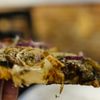 Amici's Pizza Cafe gift card