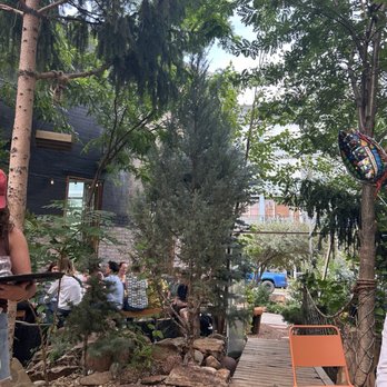 Forest Room 5 - Tapas Bars Near Me - Denver, Colorado