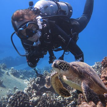 BWB Diving - Turtle (Honu), Mala Boat Ramp - Scuba Diving Near Me - Lahaina, Hawaii BWB Diving - Turtle (Honu), Mala Boat Ramp - Scuba Diving Near Me - Lahaina, Hawaii