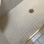 Photo of The Grout Savior