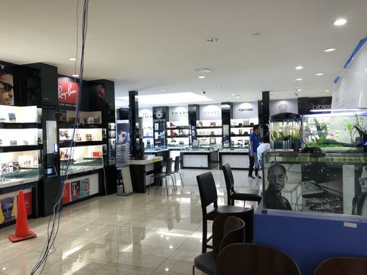 Davich Optical by null