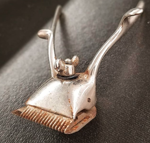 The barbershop Logo