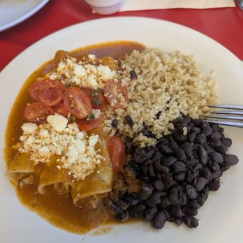 Wild One - Potato and Cheese Enchiladas - Mexican Near Me - Pleasanton, California Wild One - Potato and Cheese Enchiladas - Mexican Near Me - Pleasanton, California