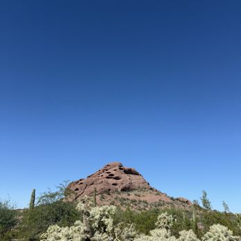 Desert Botanical Garden - Rock formation in the distance from one of the walking trails - Botanical Gardens Near Me - Phoenix, Arizona