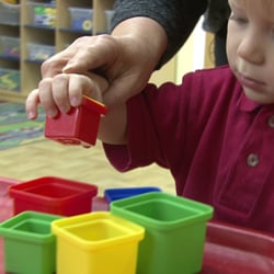 Yorkshire Academy - Learning to 'sort' it out from the beginning