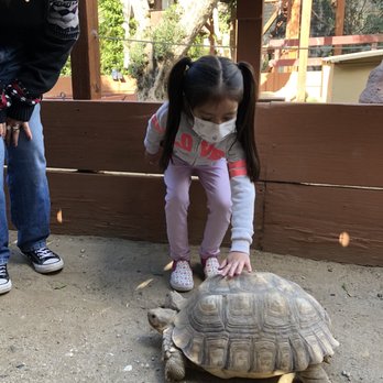 Wildlife Learning Center - Zoos Near Me - Sylmar, California Wildlife Learning Center - Zoos Near Me - Sylmar, California