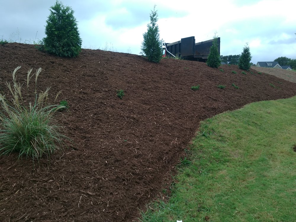 PHILLIPS LANDSCAPING AND MORE Updated September 2024 Easley, South