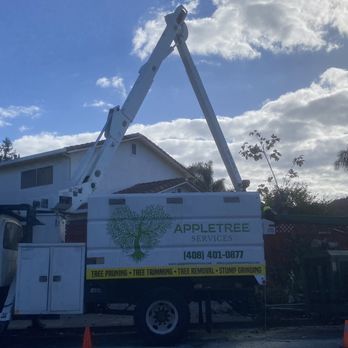 Appletree Services - appletree's excellent service! - Tree Services Near Me