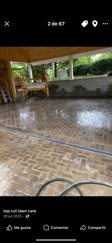 Top Cut Lawn Care - tree service in Knoxville, TN