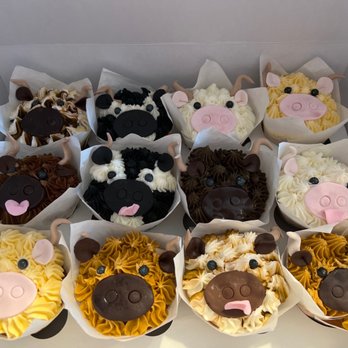 Patticakes Bakery - a variety of cupcakes - Bakeries Near Me - Conway, Arkansas Patticakes Bakery - a variety of cupcakes - Bakeries Near Me - Conway, Arkansas