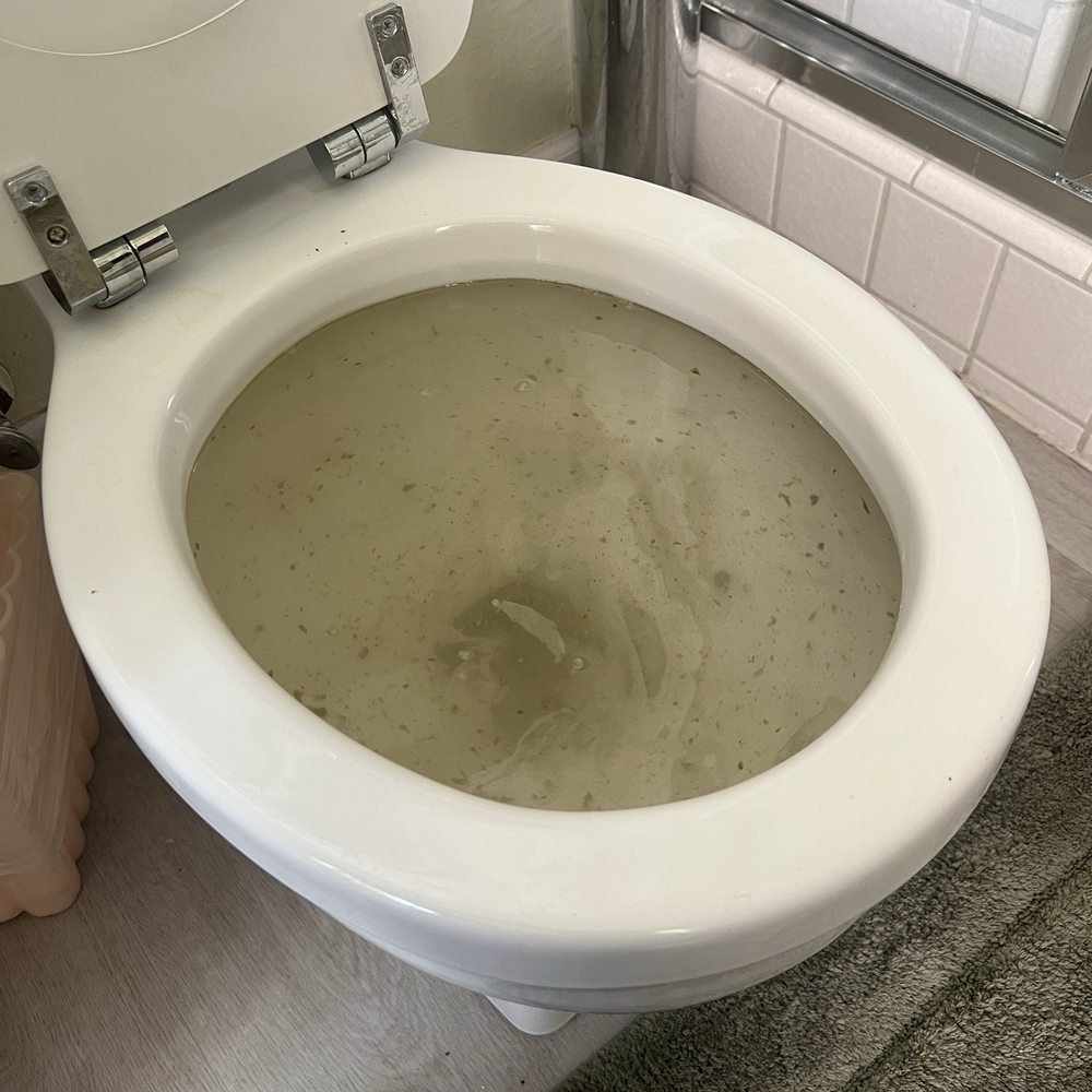 Toilet backed up Toilet backed up
