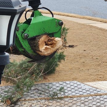 Sesmas Tree Service - Tree Services Near Me - Lawrenceville, Georgia Sesmas Tree Service - Tree Services Near Me - Lawrenceville, Georgia
