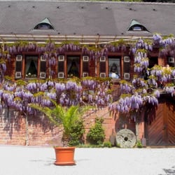 Gaststätte Buschmühle
