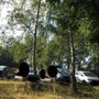 Photo of Kostenloser Parkplatz Strandbad Filzteich