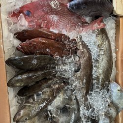 Holden's Seafood - Locally caught American Red Snapper and grouper!