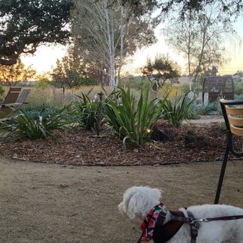 Hotel Ynez - Very peaceful place! - Hotels Near Me - Solvang, California