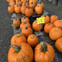 Frank's Produce & Greenhouses