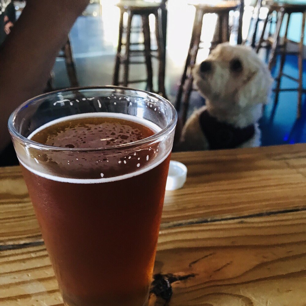 Oceanside Brewing Company - Beer and Lychee - Breweries Near Me - Oceanside, California Oceanside Brewing Company - Beer and Lychee - Breweries Near Me - Oceanside, California
