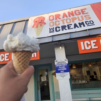 Orange Octopus - Ice Cream & Frozen Yogurt Near Me - Sarasota, Florida Orange Octopus - Ice Cream & Frozen Yogurt Near Me - Sarasota, Florida
