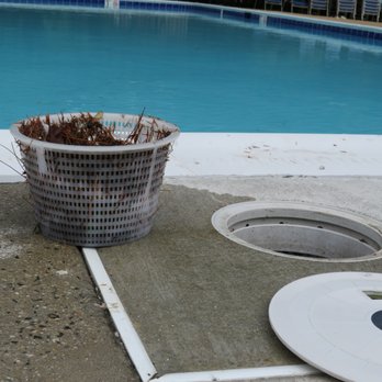 First Look Service - Pool Cleaners Near Me