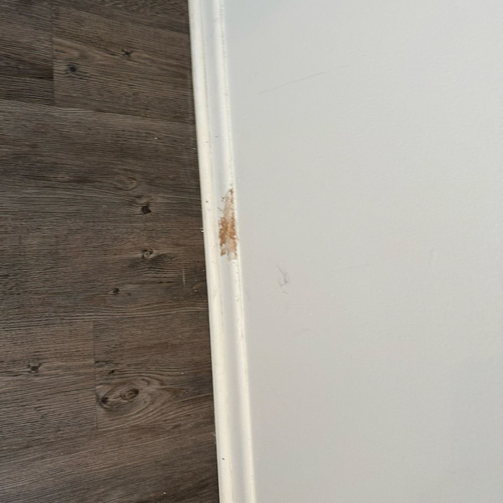 Kading Properties - More animal chewing - Property Management Near Me - Urbandale, Iowa Kading Properties - More animal chewing - Property Management Near Me - Urbandale, Iowa