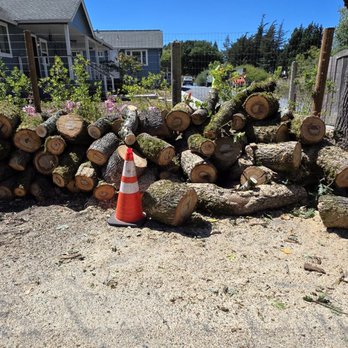 G Garcia Tree Service - Tree Services Near Me - Santa Rosa, California G Garcia Tree Service - Tree Services Near Me - Santa Rosa, California