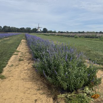 HOLLAND RIDGE FARMS - Updated July 2026 - 1901 Photos & 165 Reviews ...