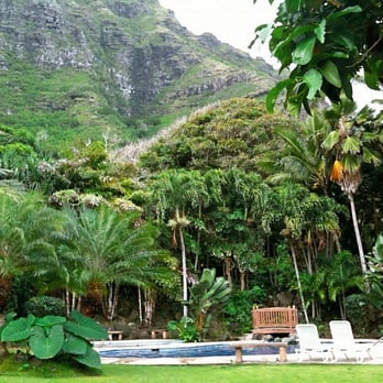 The Plantation Estate - pool area view - Venues & Event Spaces Near Me - Kaaawa, Hawaii The Plantation Estate - pool area view - Venues & Event Spaces Near Me - Kaaawa, Hawaii