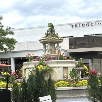 Shake Shack Old Orchard - View of the fountain/garden - Burgers Near Me - Skokie, Illinois Shake Shack Old Orchard - View of the fountain/garden - Burgers Near Me - Skokie, Illinois