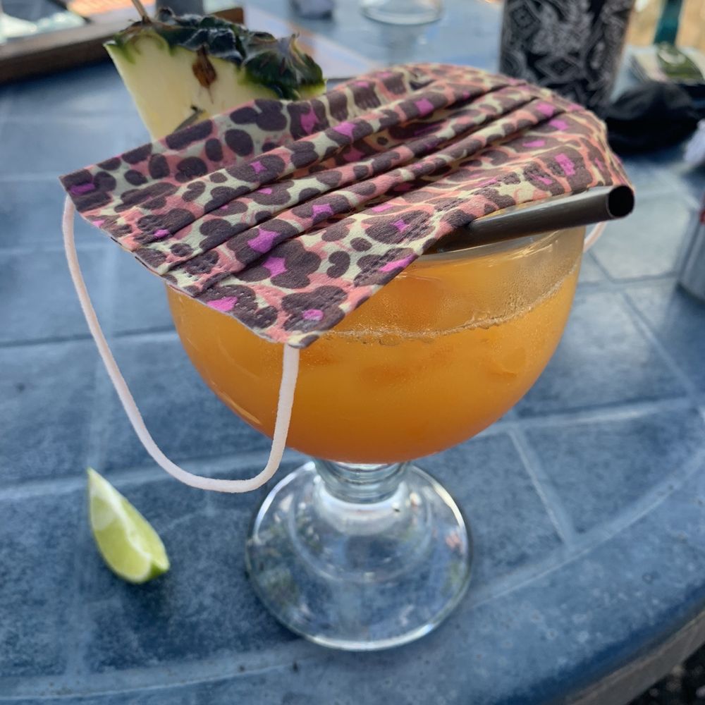 Coconuts Bar & Grill - *Awful* Sex on Coconuts. Expen$ive & hardly any alcohol. Had to keep it covered bc there were bugs everywhere. - Bars Near Me - Cozumel, ROO Coconuts Bar & Grill - *Awful* Sex on Coconuts. Expen$ive & hardly any alcohol. Had to keep it covered bc there were bugs everywhere. - Bars Near Me - Cozumel, ROO