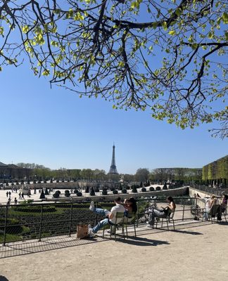 Tuileries Garden by null