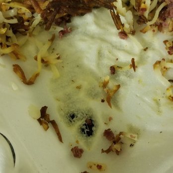 Brandon's Diner - Dont forget the styrofoam infused hash browns! Delicious! - Diners Near Me - Upland, California Brandon's Diner - Dont forget the styrofoam infused hash browns! Delicious! - Diners Near Me - Upland, California