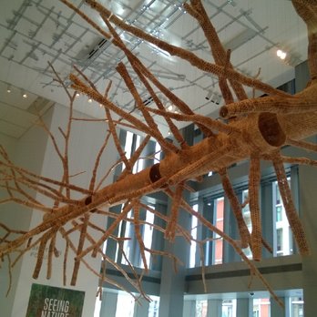 Seattle Art Museum - Tree sculpture in lobby - Art Museums Near Me - Seattle, Washington