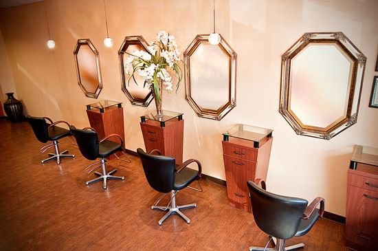 D'alessandro the Salon At Armonk Logo