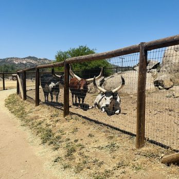 Alpine Acres Sanctuary Farm - Ranches Near Me - Alpine, California Alpine Acres Sanctuary Farm - Ranches Near Me - Alpine, California