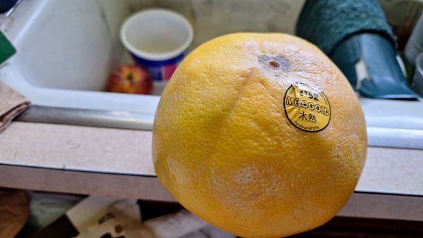 Tokyo Central West Covina by null