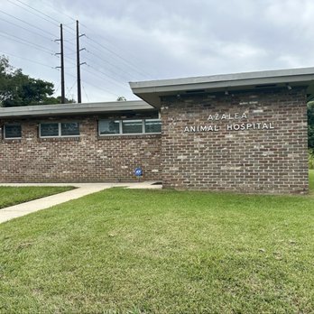 Azalea Animal Hospital - Veterinarians Near Me - Mobile, Alabama Azalea Animal Hospital - Veterinarians Near Me - Mobile, Alabama