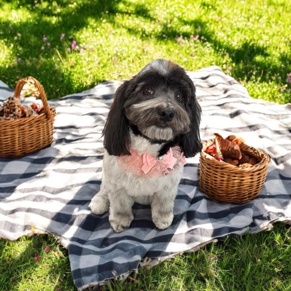 They send adorable pics with cute backgrounds.