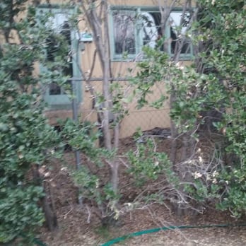 New Image Landscaping - Before - Landscaping Near Me - Altadena, California