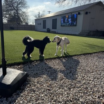 Bark House Social - Dog Parks Near Me - Austin, Texas
